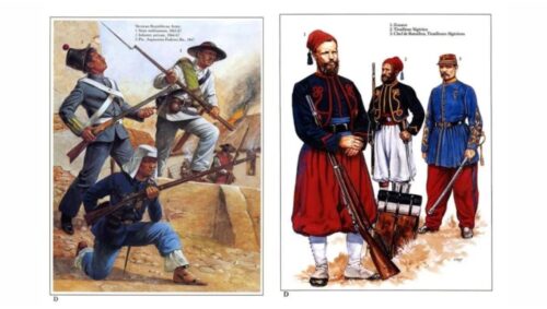 Las condiciones de franceses y mexicanos antes de la batalla del 5 de mayo.